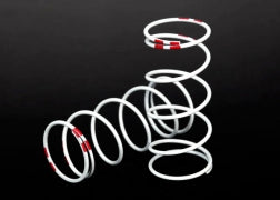 GTR Springs Long (0.810, Pink)