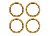 Pro Scale Alum Beadlock Rings
