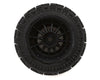 Desert Claw Pre-Mounted Tires