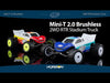 1/18 Mini-T 2.0 (Brushless)